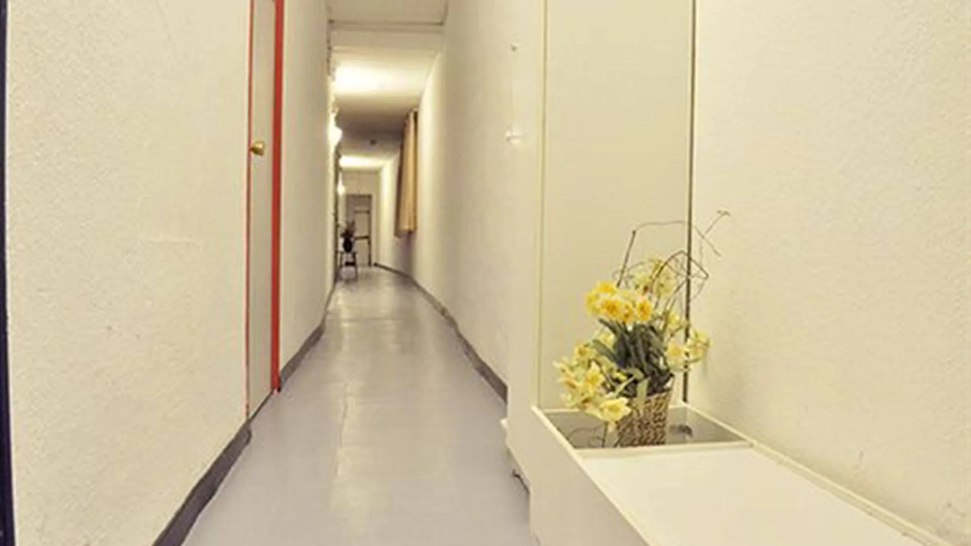 Hotel Palermo Barcelona Spain